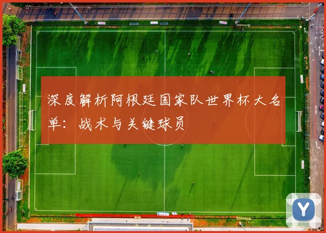 深度解析阿根廷国家队世界杯大名单：战术与关键球员