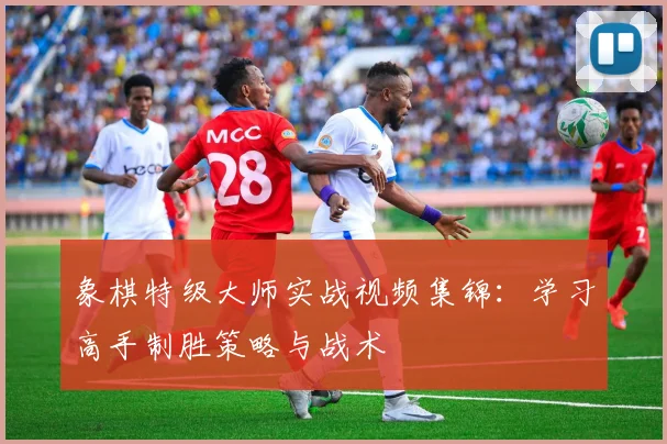 象棋特级大师实战视频集锦：学习高手制胜策略与战术